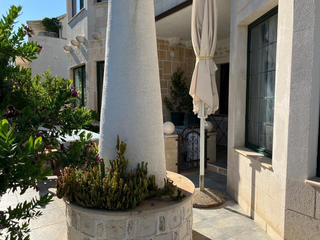 Apartments Villa Domus Marini Hvar Town Pokoj fotografie